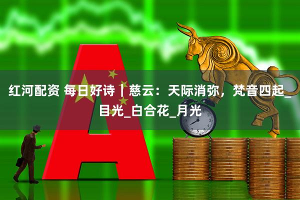 红河配资 每日好诗｜慈云：天际消弥，梵音四起_目光_白合花_月光